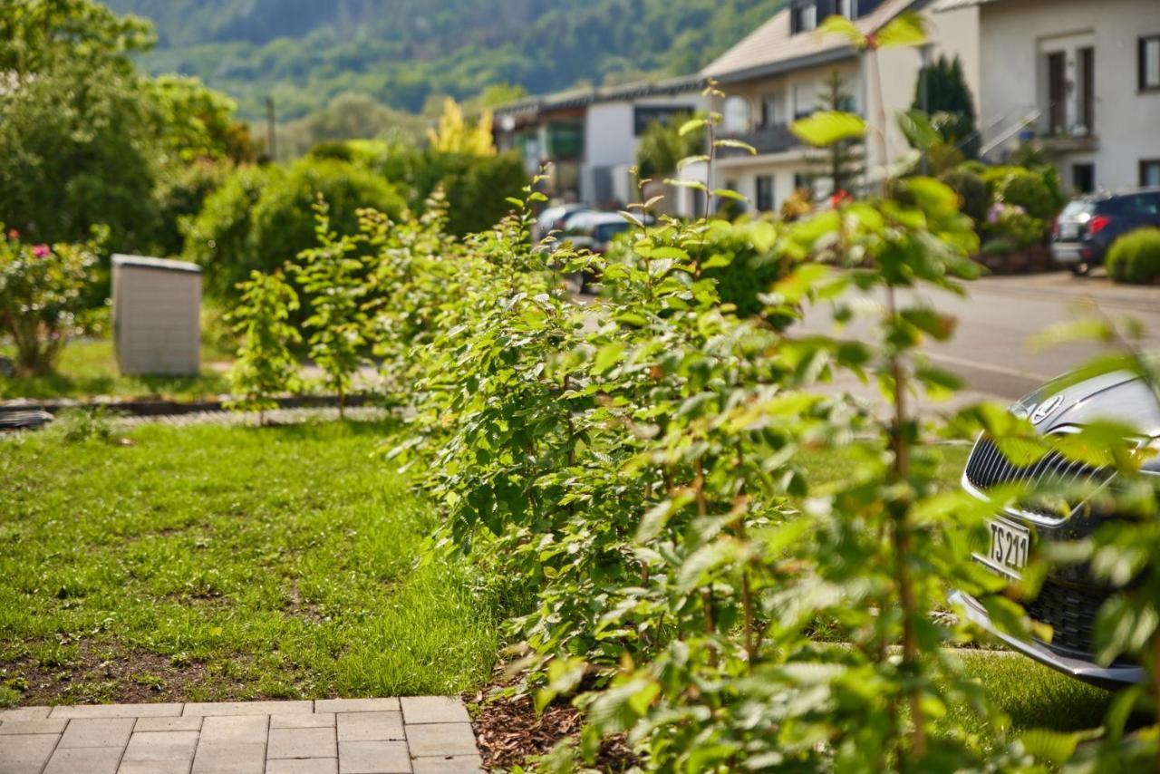 Mittelmosel Panorama Ferienwohnung Kinheim المظهر الخارجي الصورة